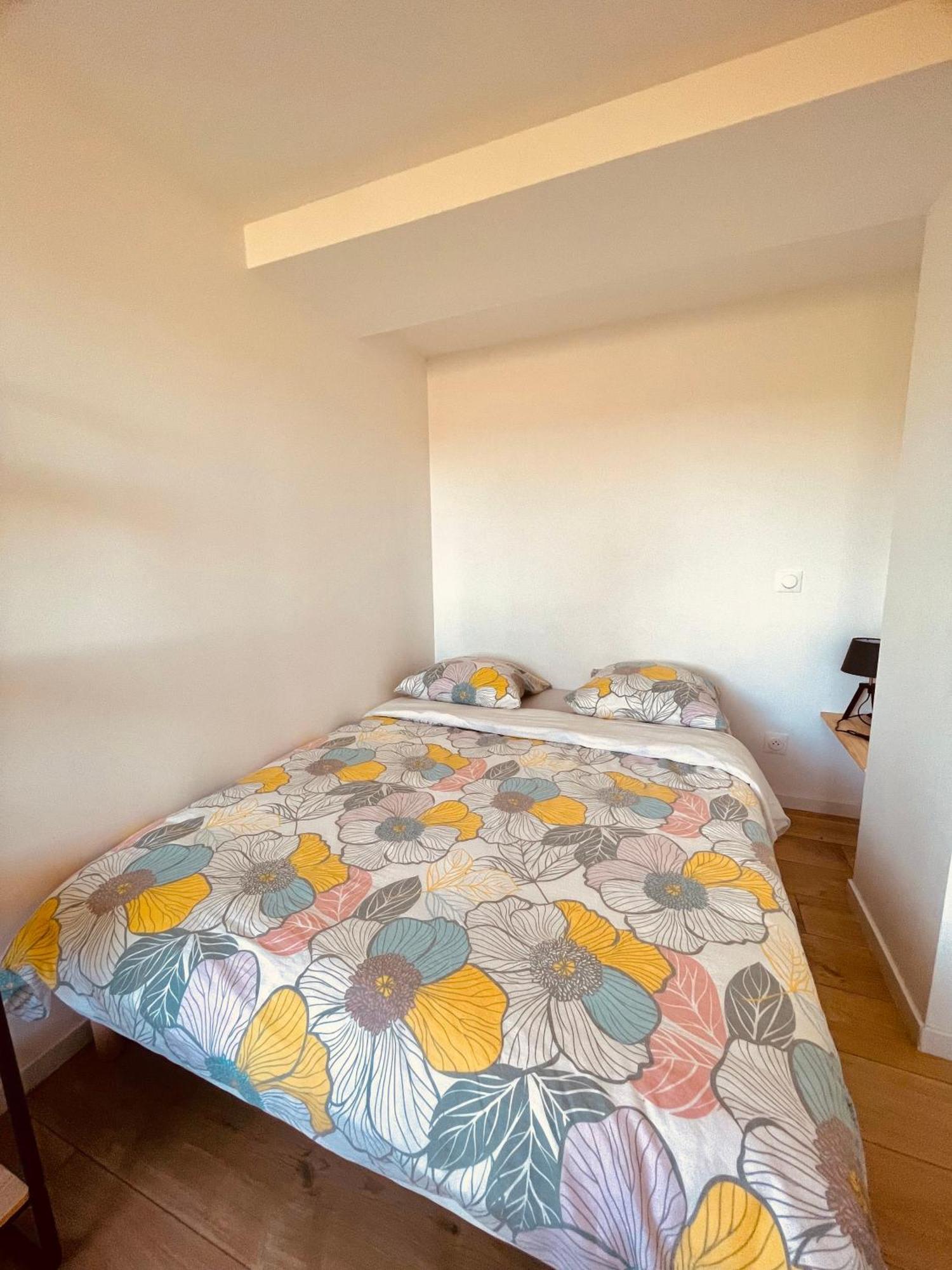 T1 Bis Renove Au Centre D'Auch Appartement Buitenkant foto